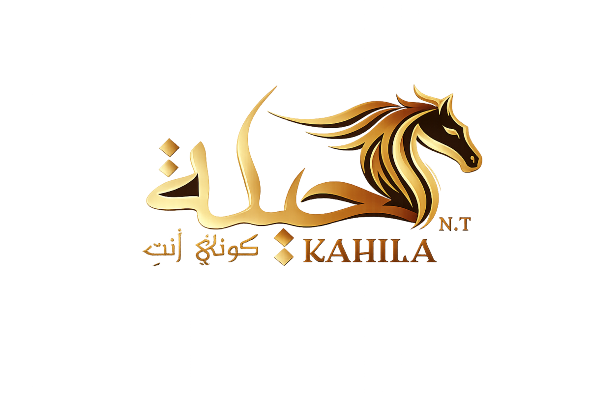 kahila-store.com